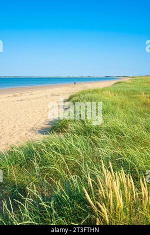 Francia, Vendee, isola di Noirmoutier, Barbatre, spiaggia di Midi Foto Stock