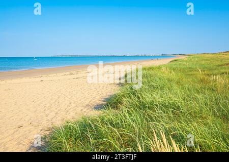Francia, Vendee, isola di Noirmoutier, Barbatre, spiaggia di Midi Foto Stock