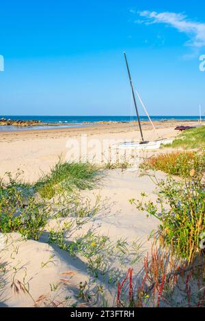 Francia, Vandea, Ile d'Yeu, la costa delle dune (costa nord-est), la spiaggia di Marais Salé Foto Stock