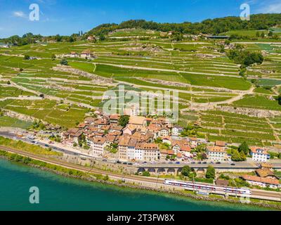 Svizzera, Cantone di Vaud, vigneto terrazzato di Lavaux dichiarato Patrimonio dell'Umanità dall'UNESCO, si estende da Montreux a Losanna per oltre 32 km lungo il Lago di Ginevra e oltre 850 ettari, il villaggio di Saint Saphorin (vista aerea) Foto Stock