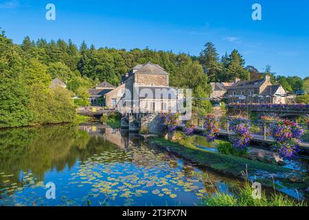 Francia, Morbihan, la Gacilly, Maison Yves Rocher sulle rive del fiume AFF Foto Stock