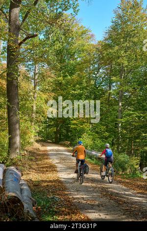 Belle ragazze anziane che vanno in bicicletta con le loro biciclette elettriche nella foresta autunnale della Schwaebische Alb a Baden-Wuerttemberg, Germania Foto Stock