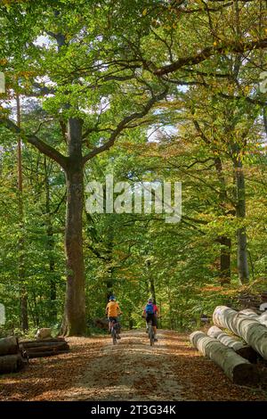 Belle ragazze anziane che vanno in bicicletta con le loro biciclette elettriche nella foresta autunnale della Schwaebische Alb a Baden-Wuerttemberg, Germania Foto Stock