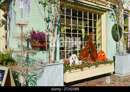 Affascinanti decorazioni di Halloween all'esterno del negozio in King Street, Old Town, Alexandria, Virginia, USA. Foto Stock