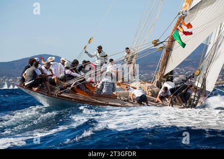 Francia, Var, Saint Tropez, Voiles de Saint Tropez 2017, in regata durante il Rolex Trophy riservato alle barche a vela tradizionali, Hispania (D5), progettata dall'architetto navale scozzese William Fife per il re Alfonso XIII di Spagna e costruita nel 1909 Foto Stock