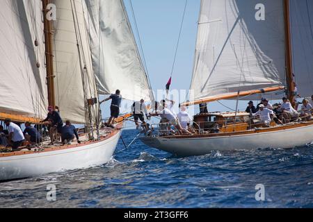 Francia, Var, Saint Tropez, Voiles de Saint Tropez 2019, due barche a vela di classe tradizionale sull'orlo della collisione durante il Trofeo Rollex: in primo piano, NIN (8), taglierina per gaff da 8 m costruita nel 1913, ha dichiarato "Monument History » nel 2010, sulla destra YANIRA (ESP 1257), sloop Marconi di 18 m con sede a Barcellona, Foto Stock