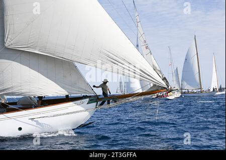 Francia, Var, Saint Tropez, nella baia di Saint-Tropez, barche a vela tradizionali prima di posizionarsi sulla linea di partenza di una regata Foto Stock