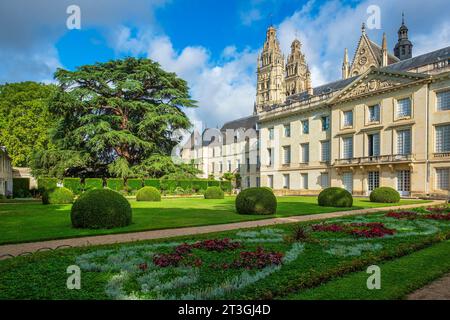 France, Indre et Loire, Tours, Garden of the fine Arts Museum, cedro del Libano (Cedrus libani) piantato nel 1804 ed etichettato Remarkable Tree of France Foto Stock