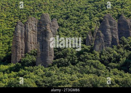 Francia, Alpes de Haute Provence, Les Mees, Rochers des Penitents Foto Stock