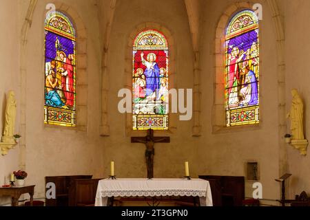 Francia, Meurthe et Moselle, Pays du Saintois (regione del Saintois), Ceintrey, chiesa di Saint Remy costruita nel XVIII secolo, vetrate colorate del coro che rappresentano da sinistra a destra San Carlo Borromée dando comunione alle persone colpite dalla peste di Milano, Gesù Cristo che fa il segno della benedizione, San Remo e il battesimo di Re Clodoveo, statue della Vergine Maria a sinistra e il Sacro cuore di Gesù a destra Foto Stock