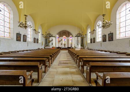 Francia, Meurthe et Moselle, Pays du Saintois (regione dei Saintois), Ceintrey, chiesa di Saint Remy costruita nel XVIII secolo, coro e navata Foto Stock