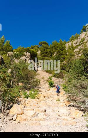 Francia, Bouches du Rhone, Marsiglia, Parco Nazionale delle Calanques, Calanque EN Vau (EN Vau creek), il sentiero che conduce al fiume EN Vau Foto Stock