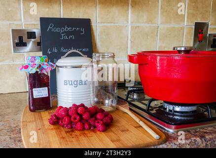 Attrezzature per la preparazione di marmellate, tra cui lamponi freschi e teglia per la conservazione Foto Stock