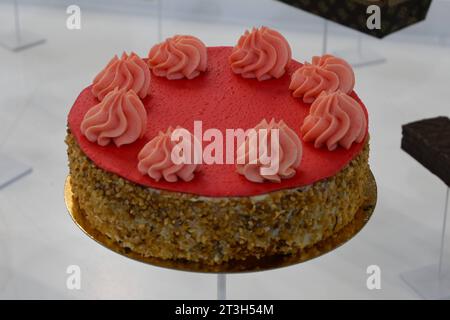 Messe München. Die Internationale Bäckereiausstellung iba, ist die führende Weltmesse für Bäckerei, Konditorei und Snacks. Foto: Kuchen bzw torte *** Fiera di Monaco la fiera internazionale dei prodotti da forno iba è la fiera mondiale leader per prodotti da forno, pasticceria e snack foto torta o torta credito: Imago/Alamy Live News Foto Stock