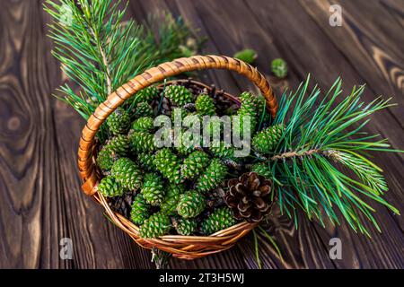 Coni di pino, raccolti dalla foresta per essere trasformati in una delizia deliziosa e nutriente i coni di pino sono un ingrediente versatile che può essere utilizzato in Foto Stock