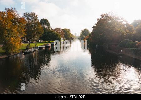 Gli alberi fiancheggiano un canale di Amsterdam in una mattina d'autunno Foto Stock