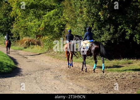 Equitazione (Hack Ride) all'ippodromo di Epsom Downs nel Surrey, Inghilterra Foto Stock