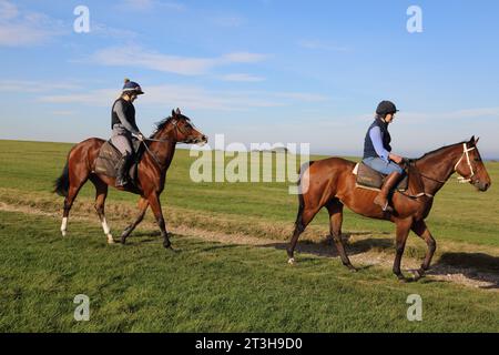 Equitazione (Hack Ride) all'ippodromo di Epsom Downs nel Surrey, Inghilterra Foto Stock