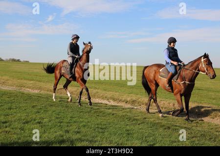 Equitazione (Hack Ride) all'ippodromo di Epsom Downs nel Surrey, Inghilterra Foto Stock