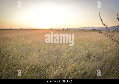 Tramonto sulle risaie nella campagna di Kocani, paesaggio macedone. Foto Stock