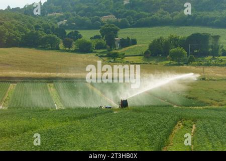 Spruzzare acqua da un sistema di irrigazione su un campo di colture agricole. Affilatura selettiva. Foto Stock