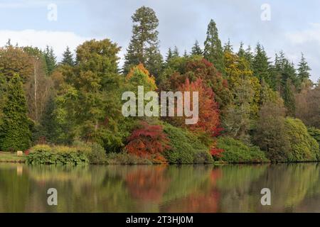 I colori autunnali si riflettono sullo Sheffield Park, Sussex, Regno Unito Foto Stock