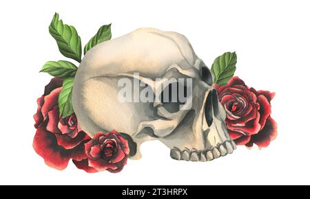 Teschi umani con rose rosse e foglie. Illustrazione ad acquerello disegnata a mano. Composizione isolata su sfondo bianco. Foto Stock