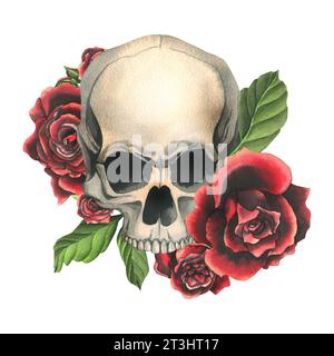 Teschi umani con rose rosse e foglie. Illustrazione ad acquerello disegnata a mano. Composizione isolata su sfondo bianco. Foto Stock