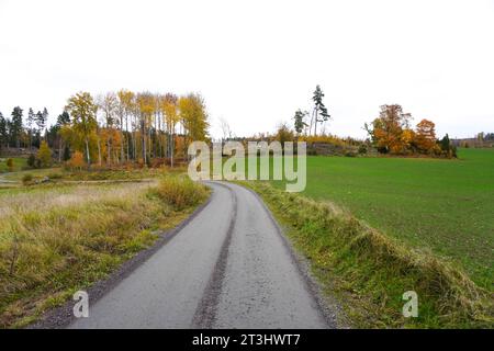 Strada vuota tra gli alberi contro il cielo limpido Foto Stock