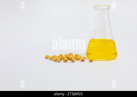 Semi di soia con becher da laboratorio. Colture geneticamente modificate, olio di soia e concetto di biodiesel. Foto Stock