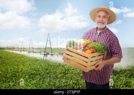 Stagione di raccolta. Agricoltore che tiene una cassa di legno con il prodotto nel campo Foto Stock