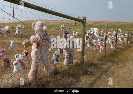 Una collezione di orsacchiotti imbottiti si trova lungo la US Highway 89, vicino alla città di Dupuyer, Montana. Foto Stock