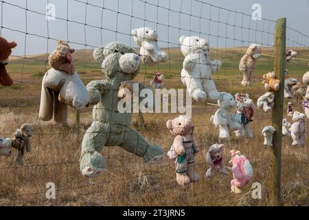 Una collezione di orsacchiotti imbottiti si trova lungo la US Highway 89, vicino alla città di Dupuyer, Montana. Foto Stock