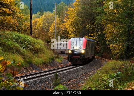 Skykomish, WA, USA - 22 ottobre 2023; treno passeggeri Amtrak Empire Builder in una mattina autunnale umida Foto Stock