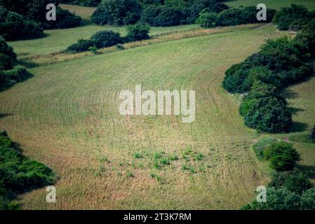 Campi agricoli nel Sud Sardegna - Italia Foto Stock