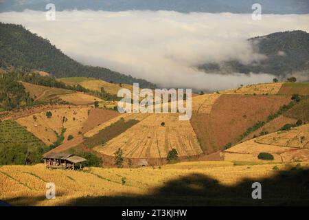 La bellezza della natura al villaggio di Ban Pa Bong Piang, il distretto di Mae Chaem, la provincia di Chiang mai, Tailandia Foto Stock