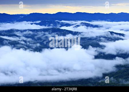 Paesaggio mattutino e una rinfrescante nebbia al monte Khao Kho a Phetchabun, Thailandia Foto Stock