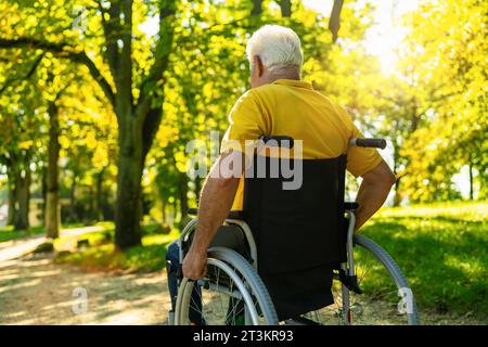 uomo anziano con disabilità seduto in sedia a rotelle durante la passeggiata nel parco, anziano con disabilità maturo nonno in carrozza o sedia a rotelle non valida, anziani disabili Foto Stock