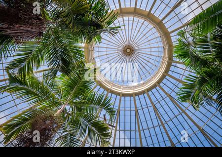 Giardino botanico di Buffalo, New York Foto Stock