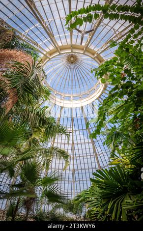 Giardino botanico di Buffalo, New York Foto Stock