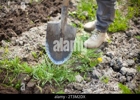 Scavando su suolo. Giardiniere scava terra con pala. Letto di piante. Piantando giovani pianta in suolo. Dettagli della vita agricola. Foto Stock