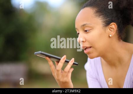 Donna nera che dettava un messaggio al telefono in un parco Foto Stock