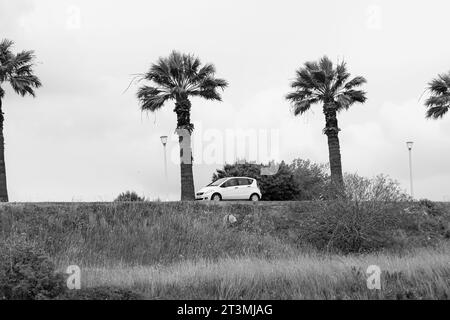 Mercedes-Benz Classe A auto subcompatta bianca di prima generazione parcheggiata tra palme che costeggiano una strada fuori da un campo verde in bianco e nero Foto Stock