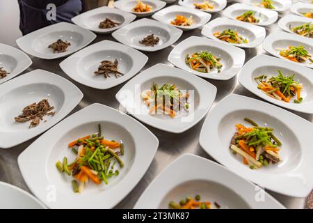 Originale zuppa servita in un ristorante. Verdure e carne di pollo in attesa del brodo. Foto Stock