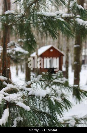 Concentrati sui rami di abete rosso di primo piano con cappellino da neve davanti a un piccolo gazebo in legno in Un Winter Park Foto Stock