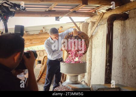 Isparta, Turchia - 6 giugno 2022: Delegazione di un deputato locale per una piccola produzione di cosmetici rosa. Rose utilizzate nell'industria dei profumi piccole produzioni in una piccola azienda agricola a conduzione familiare. Foto Stock