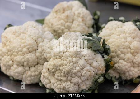 Il cavolfiore cresce in terreno biologico nell'orto della zona vegetale. Foto Stock