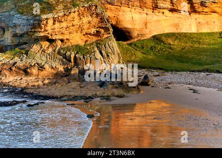 Hopeman Moray Coast Scozia sole e una scogliera di arenaria dorata che si riflette su una spiaggia sabbiosa Foto Stock