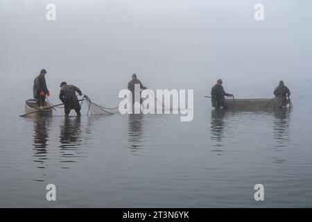 pesca autunnale dello stagno, stagno drenato, pescatori durante la pesca autunnale, nebbia sullo stagno pescato, pesca delle carpe Foto Stock