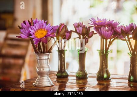 I fiori di loto non aperti, disposti con cura in un secchio, sono stati preparati dai monaci per la prossima festa buddista Vesak Foto Stock